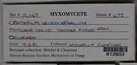 Image Associated With the Occurence